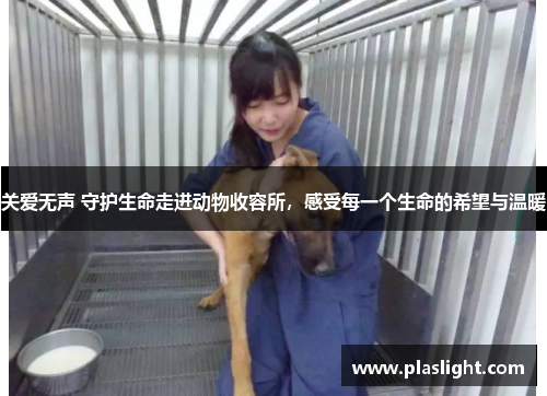 关爱无声 守护生命走进动物收容所，感受每一个生命的希望与温暖