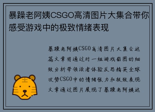 暴躁老阿姨CSGO高清图片大集合带你感受游戏中的极致情绪表现